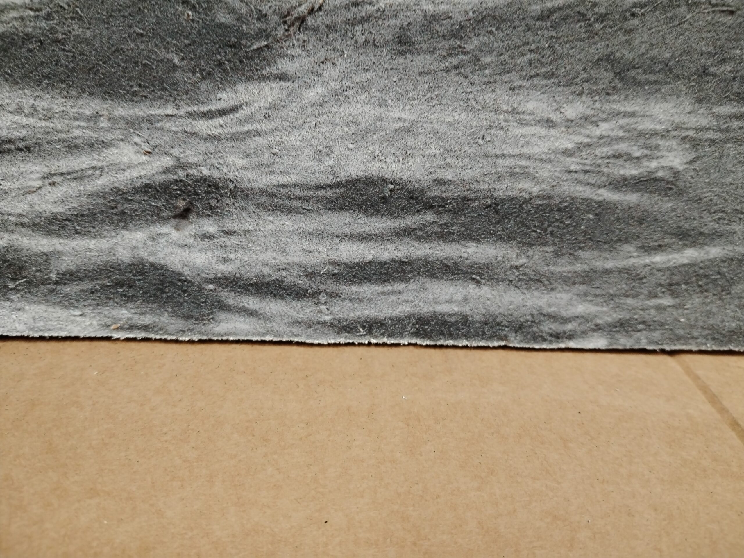 Kyhmyjoutsen - Image 3